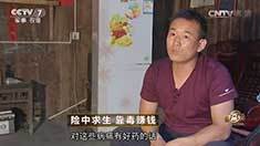 致富经 [致富经]险中求生 靠毒赚钱 20160909