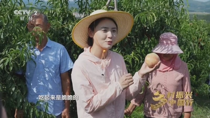 乡村振兴中国行第四季 《乡村振兴中国行》第四季 20251003 风景遇到创意 乡村充满活力