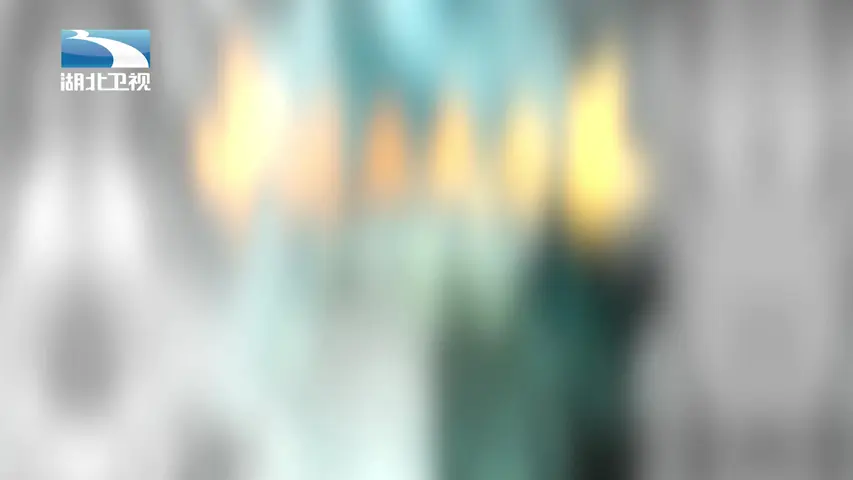 大揭秘 《大揭秘》第40集