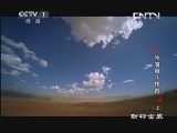 动物世界 《动物世界》 20130712 沙漠狮子传奇（上）