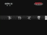 动物世界 《动物世界》 20111221