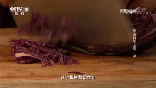 走近科学 《走近科学》 20190619 直击科学流言（中）