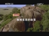 人与自然 《人与自然》 20140407 自然故事 雌狮莱恩的故事