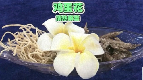 X诊所. 四大妙方抗击高血压