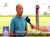 全省新闻联播 《全省新闻联播》 20170707