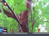 东方新闻 《东方新闻》 20170920