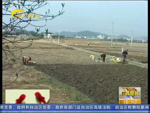 广西新闻 《广西新闻》 20150105