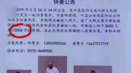 河南叶县警方悬赏1亿元抓嫌犯？