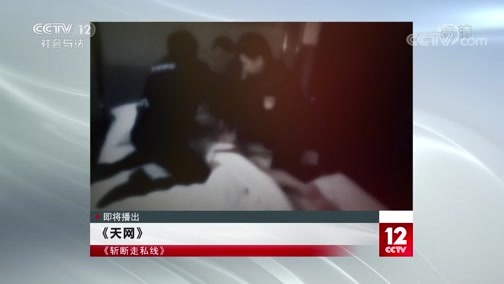 天网 《天网》 20200713 斩断走私线