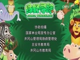 绿野寻踪 《绿野寻踪》 20170329