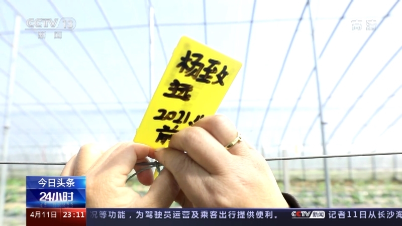 《24小时》 20210411
