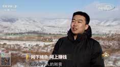 致富经 [致富经]网下捕鱼 网上赚钱 20190123