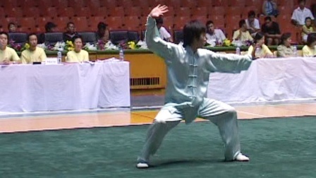 尘封赛事 2005年全国武术套路冠军赛传统项目比赛 男子拳术 046