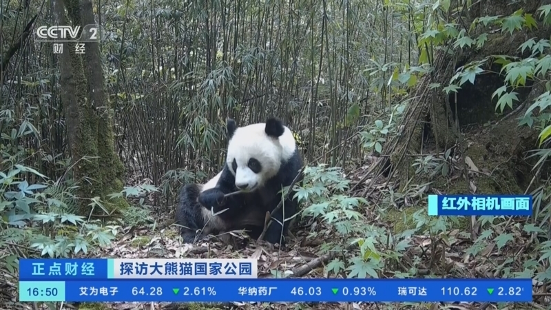 正点财经 《正点财经》 20260611 16:00