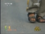 新闻袋袋裤 《新闻袋袋裤》 20140926