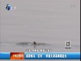 12点报道 《12点报道》 20161116