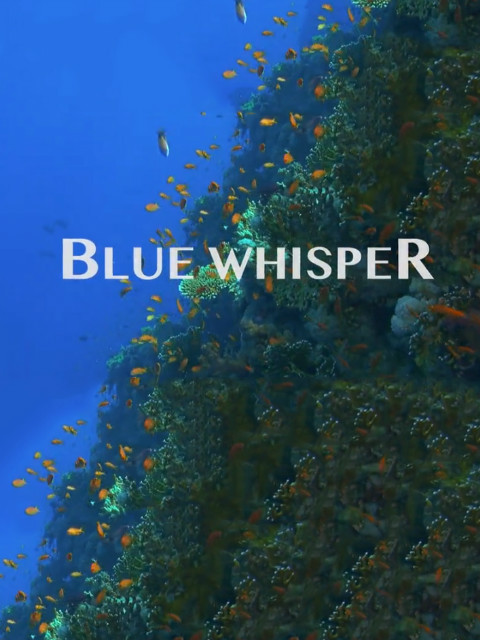 海中细语 海报