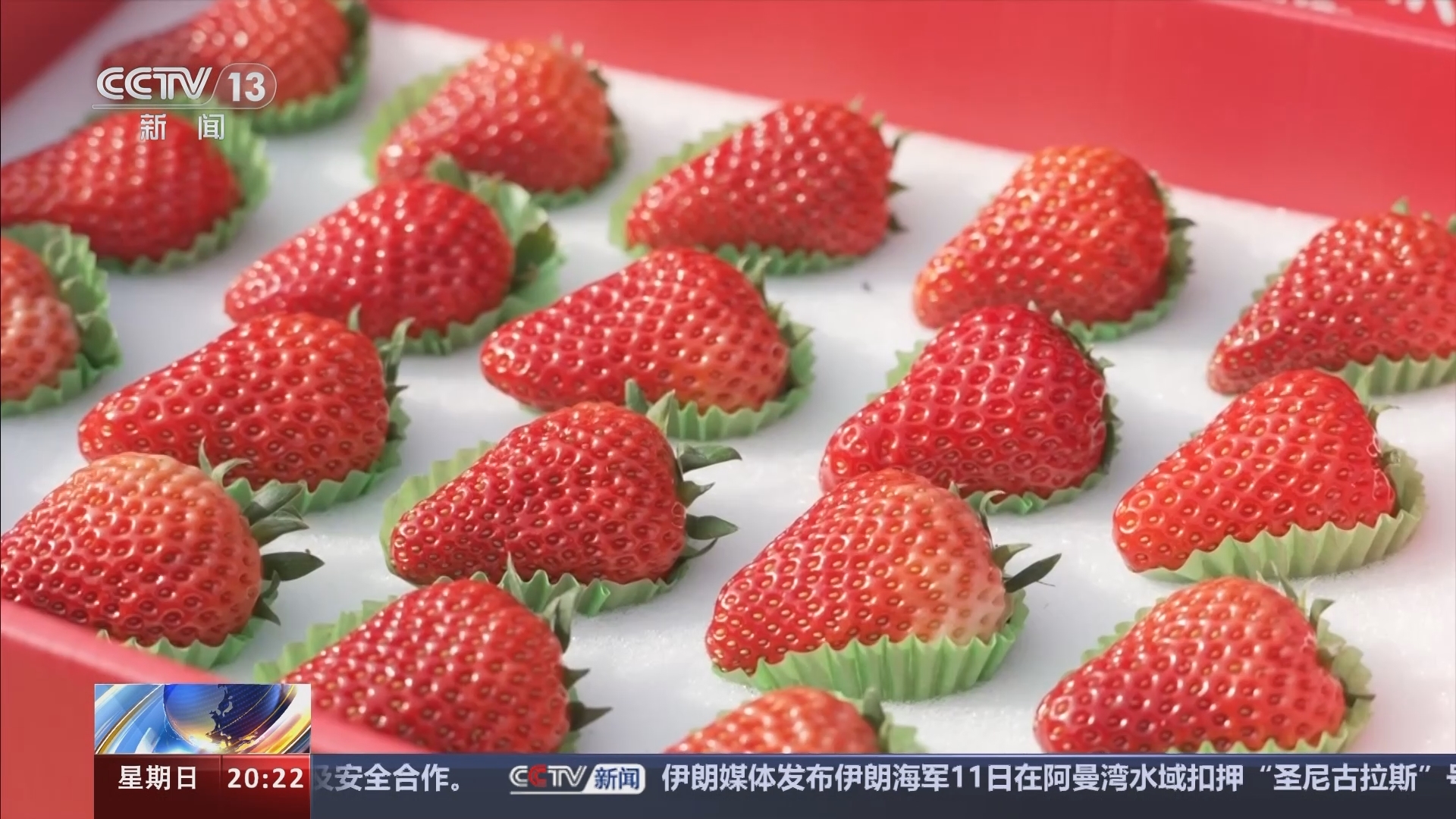 东方时空 《东方时空》 20240114