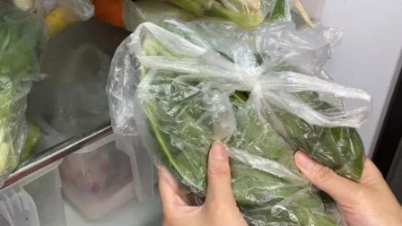 健康之路 塑料袋放冰箱会引起中毒？真相如何？
