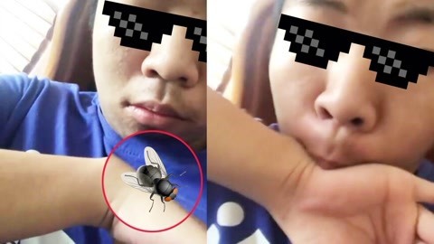 爆笑精选 敏捷小伙徒手吞苍蝇！这奇葩绝技学不来不敢学