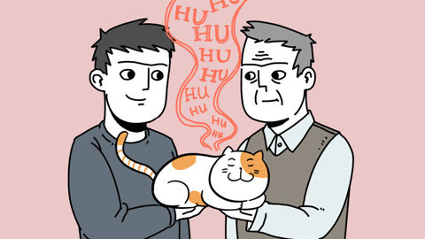 喵客帝国 有猫的爸妈把我给扔了