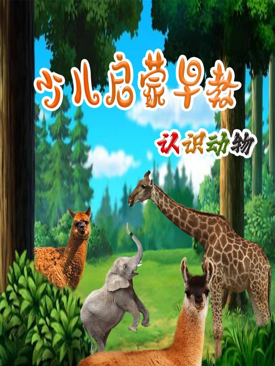 少儿启蒙早教认识动物