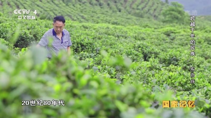国家记忆 《国家记忆》 20191008 跨越千年的民族 布朗族