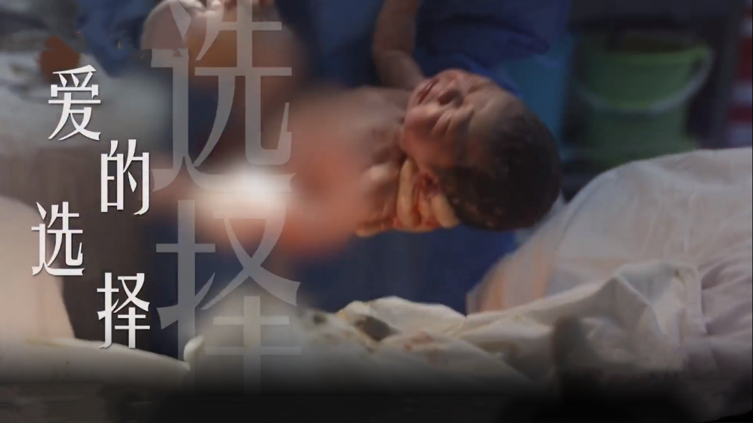 生命缘 第13季 爱的选择