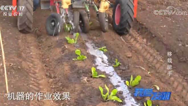 我爱发明 《我爱发明》 20200623 移栽能手