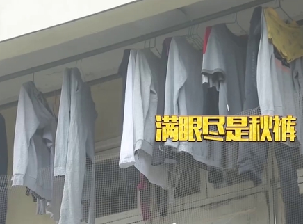新闻大求真 潮湿天气怎么晾干秋裤？