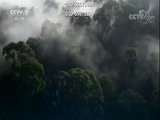 环球经济连线 《环球财经连线》 20170930