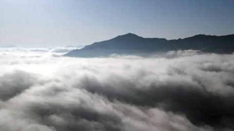 湖北新闻20210219