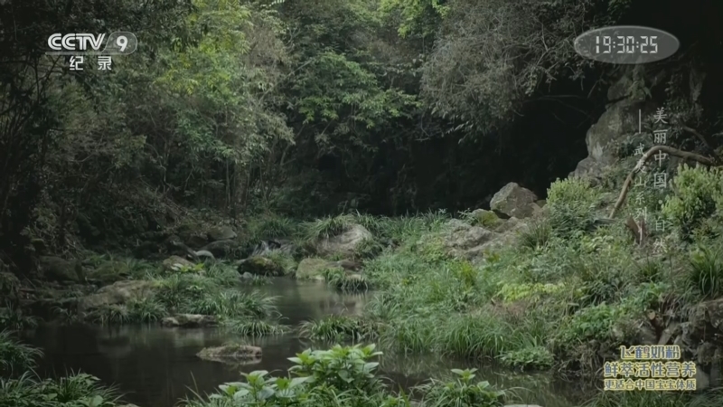 《美丽中国 自然——武夷山系列》 第1集