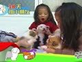 狗狗日记 第250天 Alpha害怕的事