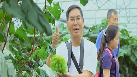 与梦想合拍 黄丝江边百香果 小康路上农家乐