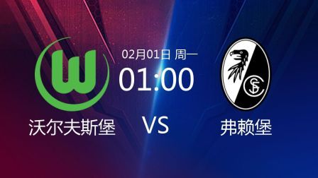2020-2021德甲联赛第19轮 沃尔夫斯堡VS弗赖堡