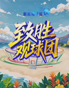致胜观球团 海报