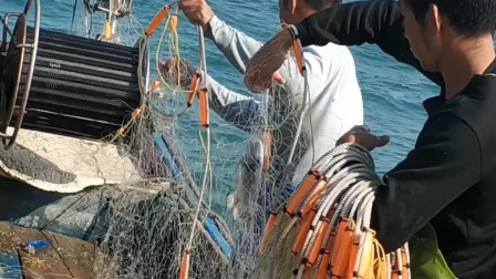 南澳岛赶海日记 赶海小哥出外海捕鱼，捕获一条价值两千多的大货，这是发财的节奏