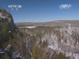 自然传奇 《自然传奇》 20141118 与熊共眠