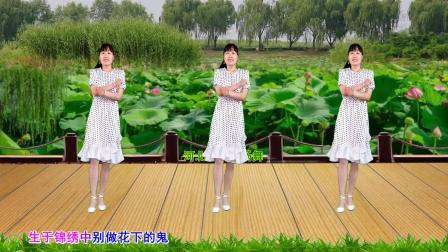 流行DJ广场舞及教学 第三季 动感广场舞《人不可貌相》正背面演示分解
