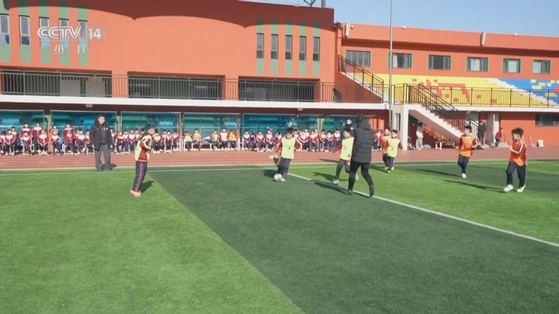 《智慧树》 20260403