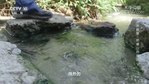 地理中国 《地理·中国》 20200330 自然胜景·姑婆山的传说 下