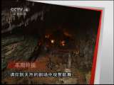 远方的家 远方的家 2011年 第100期 望谟布依民俗游