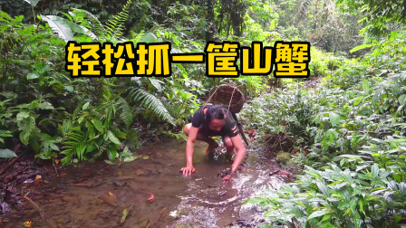 原始丛林人苏门答腊 第二季 雨后小溪水流湍急，螃蟹出来觅食，轻松捡了一筐