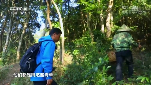地理中国 《地理中国》 20190616 穿越北回归线 8
