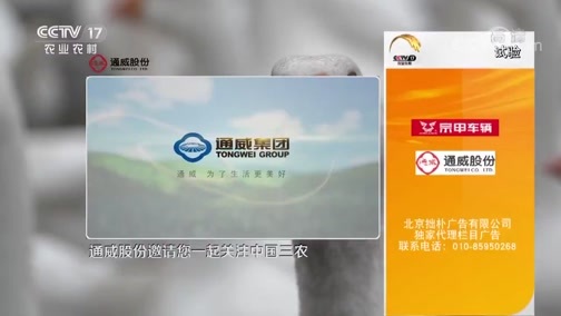 致富经 《致富经》 20190902 草场深处的养鹅人