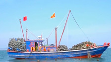 《我的美丽乡村》 20210525 扇贝之乡——北城村