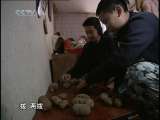 芝麻开门【央视】 冰雪训练营 5