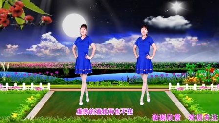 火爆DJ广场舞《月亮月亮你别睡》动感醉心