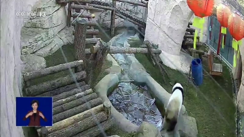 共同关注 《共同关注》 20201204